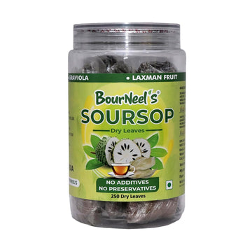 Bourneel'S Soursop Dry Leaves, 250 Loose Leaves | No Preservatives | Healthy Graviola Laxman Phal Dry Leaves | High Vitamin C |S