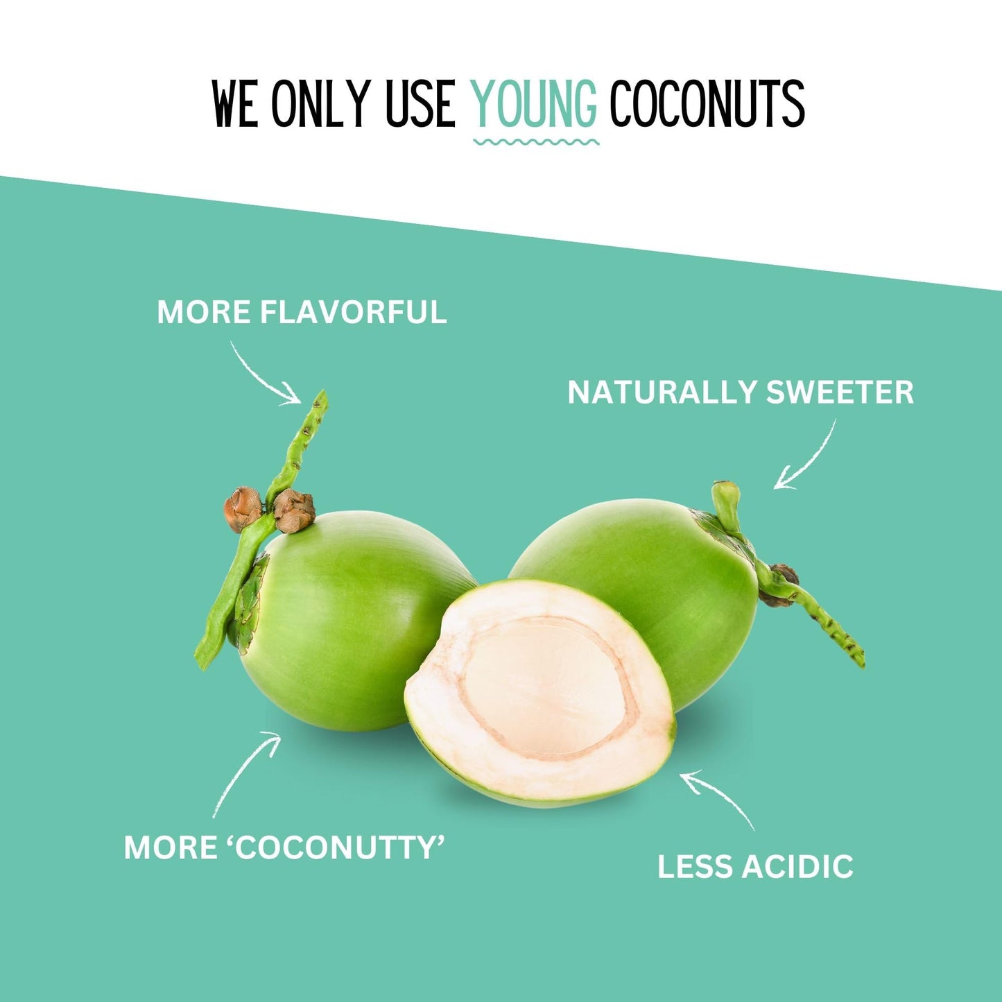 Little Palm - Pure Coconut Water, Made From Young Coconuts, No Sugar Added, Non-Gmo, Natural Hydration, Electrolytes, 16.9 Fl Oz