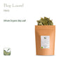Valley of Tea Bay Leaf Organic Herb - Whole Culinary Quality - 100g