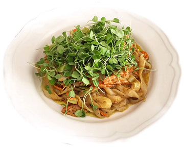 Miracle Noodle Fettuccine Shirataki Noodles - Ready-To-Eat, Plant Based Konjac Noodles Fettucine, Keto, Vegan, Gluten-Free, Low Carb Pasta, Low Calorie Pasta, Non-Gmo, Soy Free, Paleo 7 Oz, 6 Pack