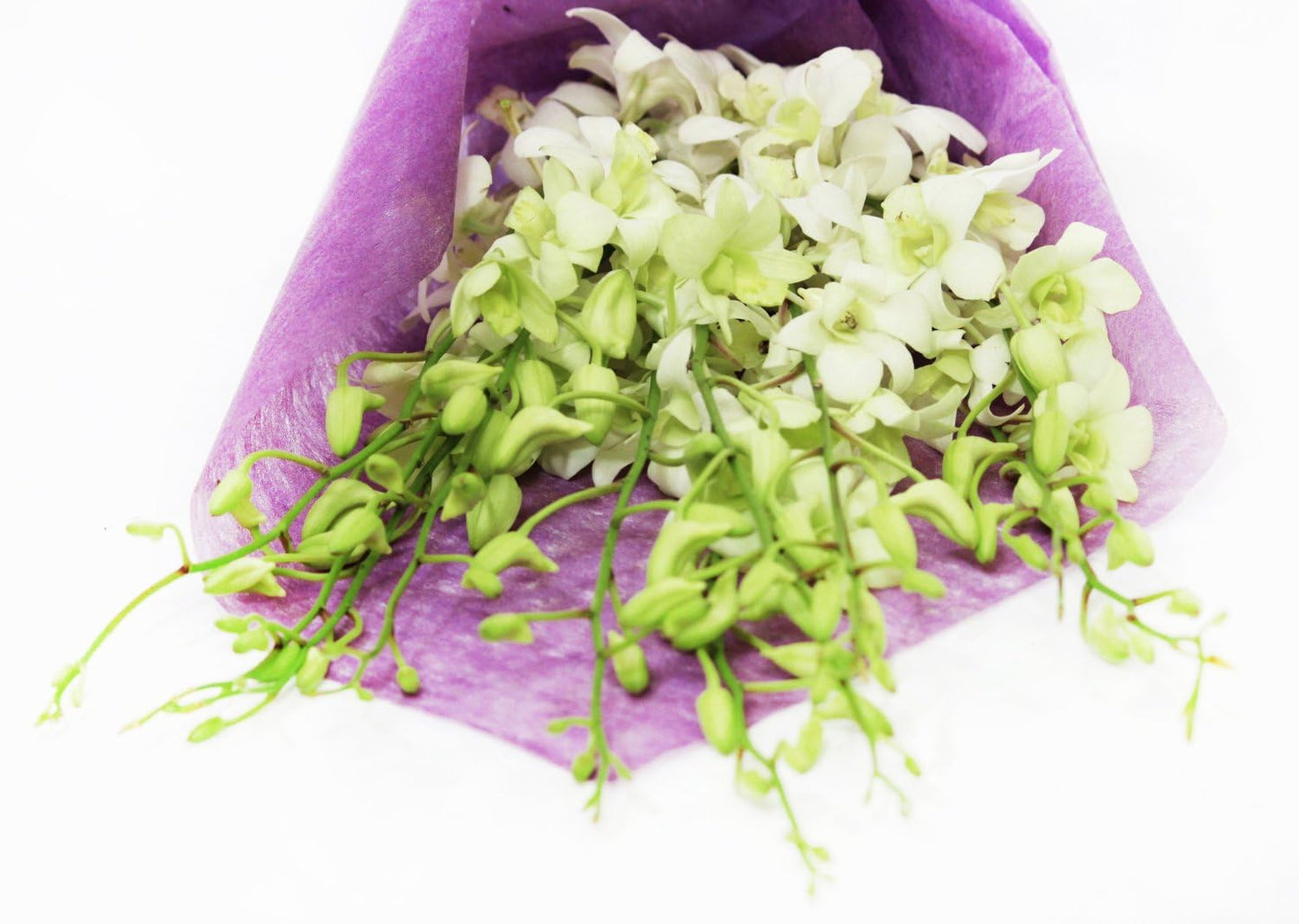 Fresh Cut Flowers - Dendrobium Orchids White