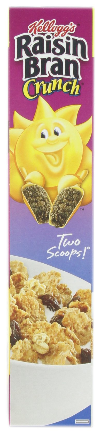 Kelloggs Raisin Bran Crunch Cereal - 24.8 Ounce (Pack of 2)