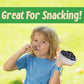 Sincerely Nuts Dried Blueberries (1 LB) Gluten-Free, Vegan & Kosher Snack - Fresh from USA - Bulk, Delicious Dried Fruit for all