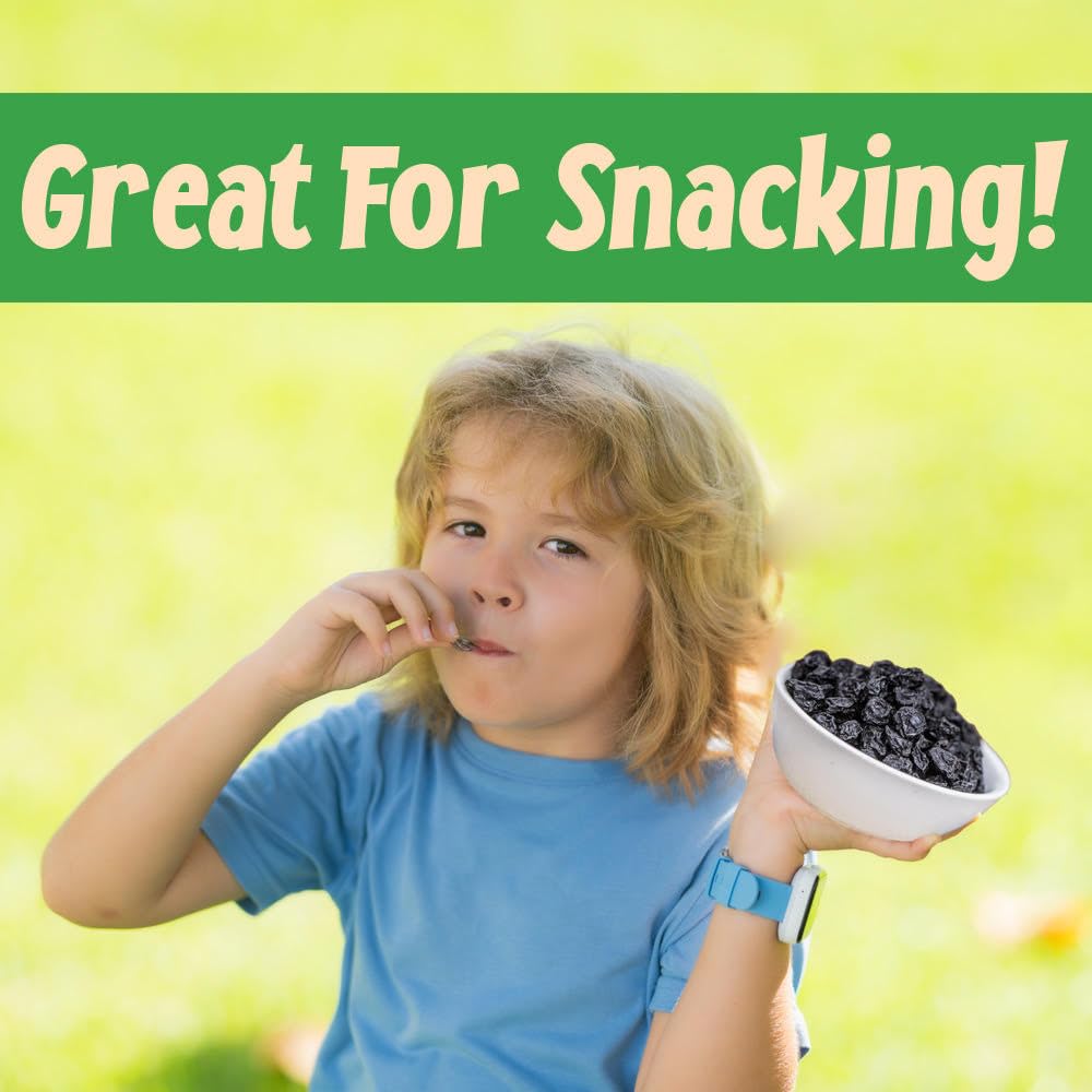Sincerely Nuts Dried Blueberries (1 LB) Gluten-Free, Vegan & Kosher Snack - Fresh from USA - Bulk, Delicious Dried Fruit for all