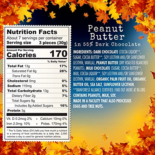 CHOCOLOVE Dark Chocolate Peanut Butter Bites  7.05 OZ