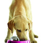 Omega Paw Dog Hog Small 2.5 Pound