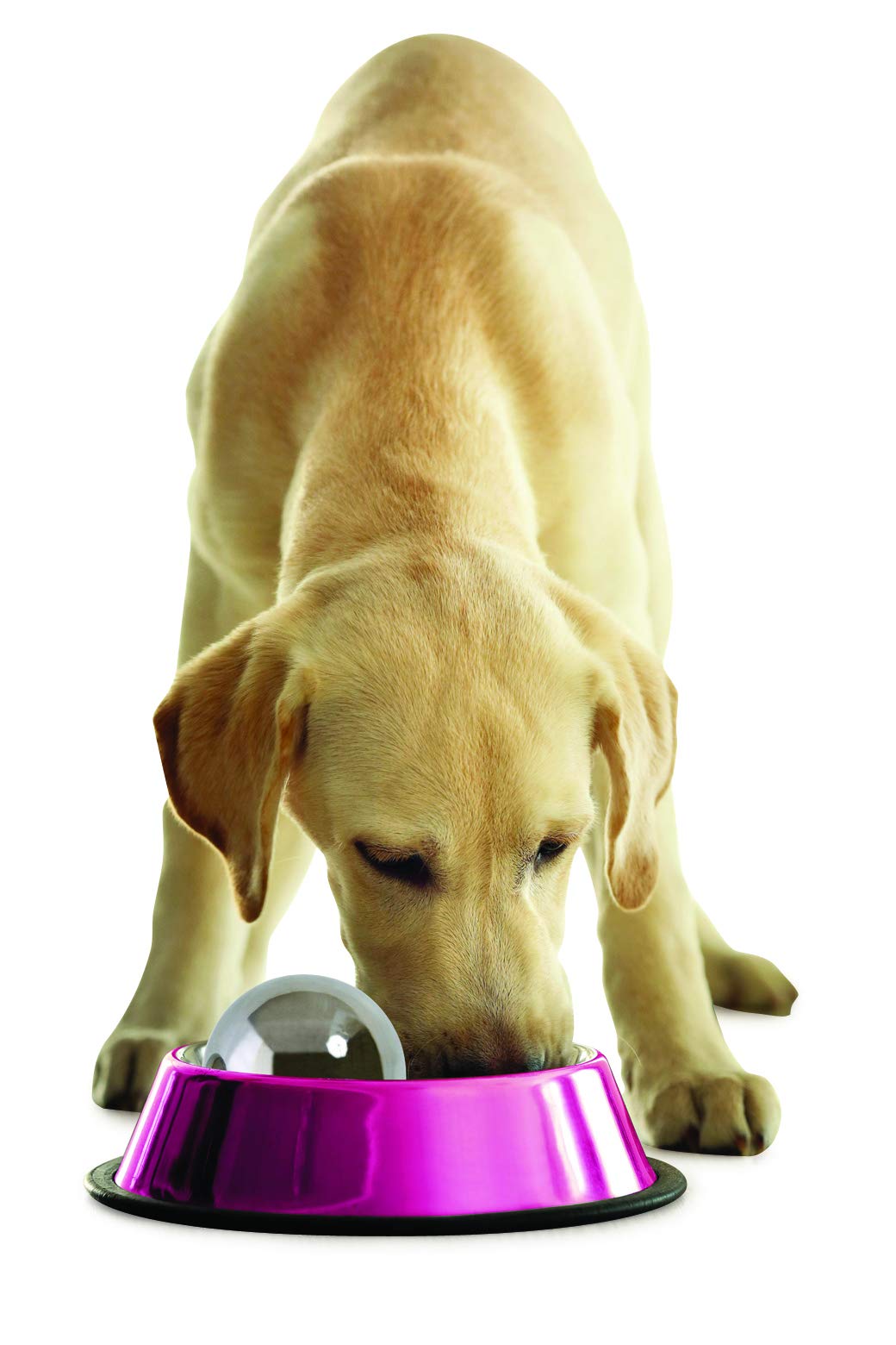 Omega Paw Dog Hog Small 2.5 Pound