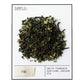 STEVEN SMITH TEAMAKER Fez Blend No. 39 Full Leaf Green Tea, 15 Count, Model 383B