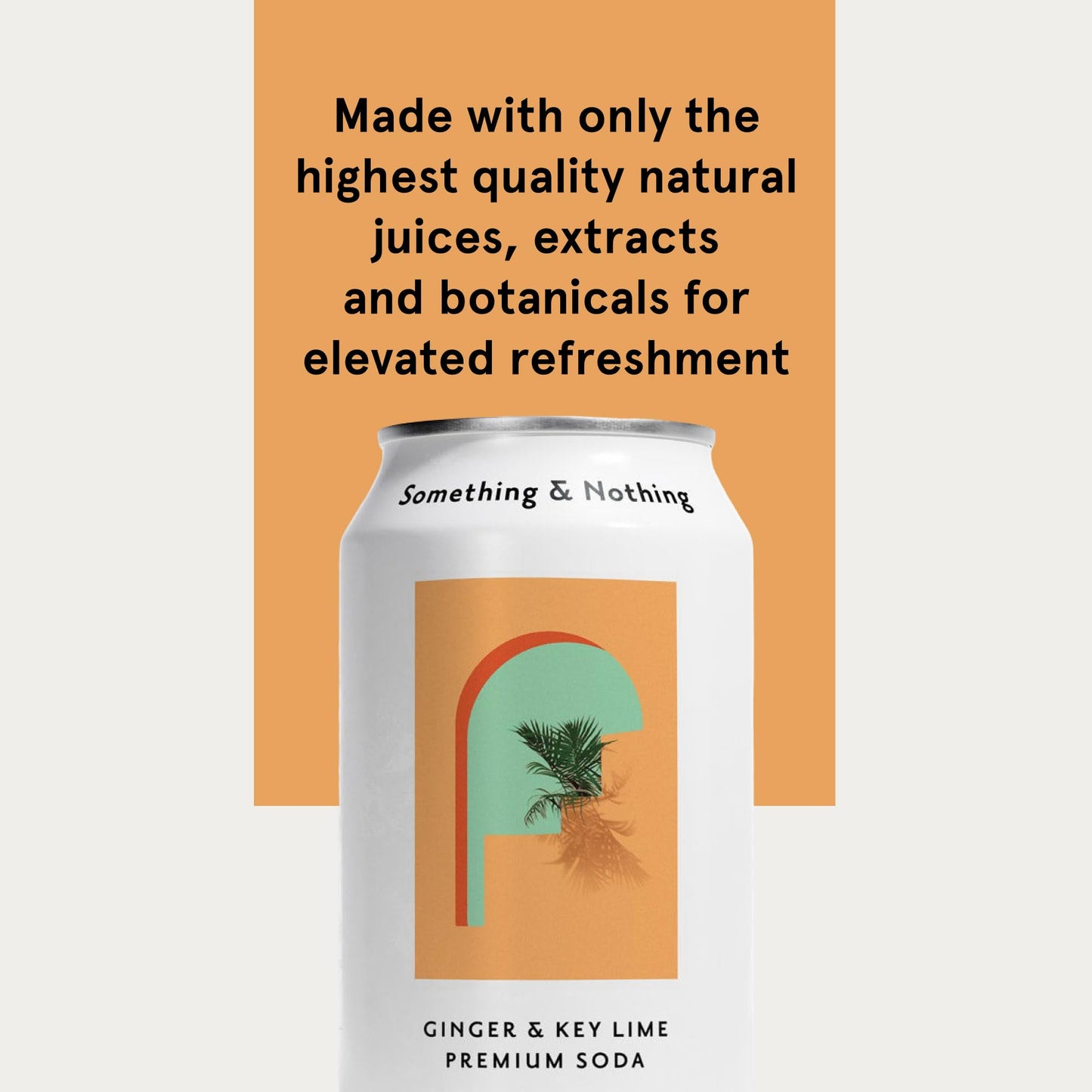 Something & Nothing Ginger & Lime Flavoured Sparkling Water | Lightly Carbonated  Full Flavoured with Added G & Lemon Juice | Vegan & Low Calorie Soda | 12 Fl Oz Cans (Pack of 12)
