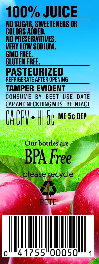 Langers 100% Apple Juice, 15.2 Oz (Pack Of 12)