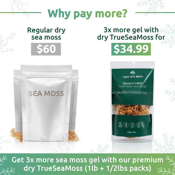 TrueSeaMoss Sea Moss Raw Gold - Organic Irish Sea Moss Gel - 16oz (Makes 200 oz) - Wildcrafted for Skin and Digestion - 1 Pound
