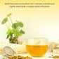 TeeLux Burdock Root Tea, Cut & Sifted, Caffeine Free, 16oz Loose Leaf Herbal Tea