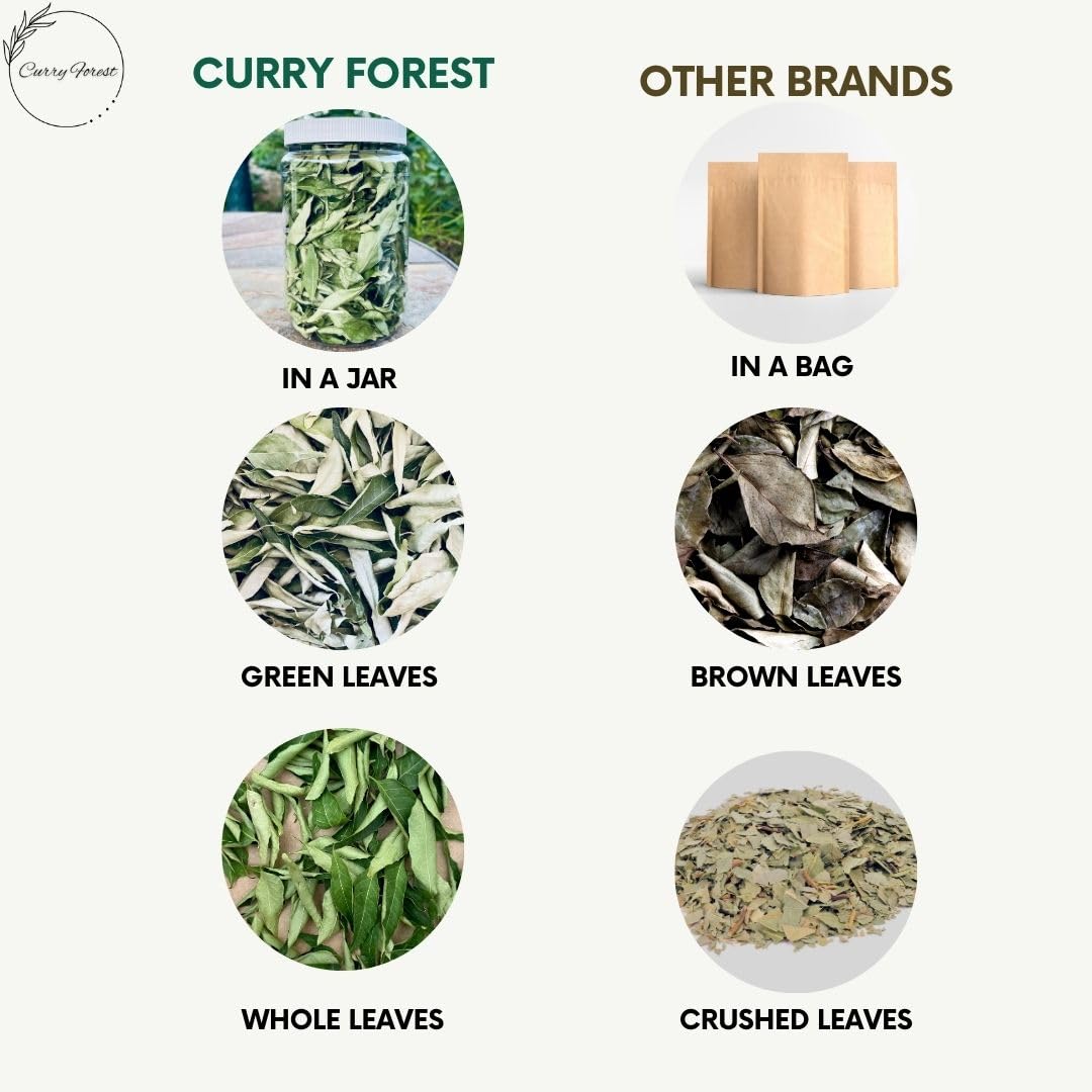 Curry Forest Dried Curry Leaves | 100% Naturally Grown | 10-15 g | Small Size | Product of USA