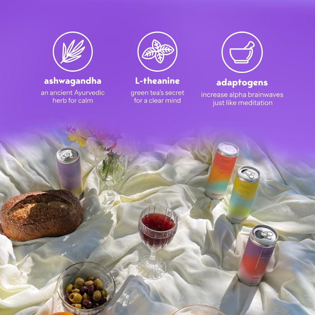 Moment Adaptogen Drink (Shark Tank) - SPARKLING Fruity Fun | Strawberry Rose  Mango Chilli  Plum Ginseng | L-Theanine & Ashwagandha for Calm & Clarity | 0 Added Sugar  0 fermented-style flavor | 12-pack