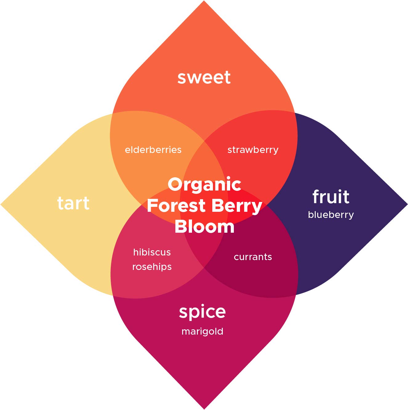 Raw Brewing Company Kombucha Brew Booster - Organic Elderberry Currant Blueberry Blend, Loose Leaf, 4 Ounce, Caffeine Free