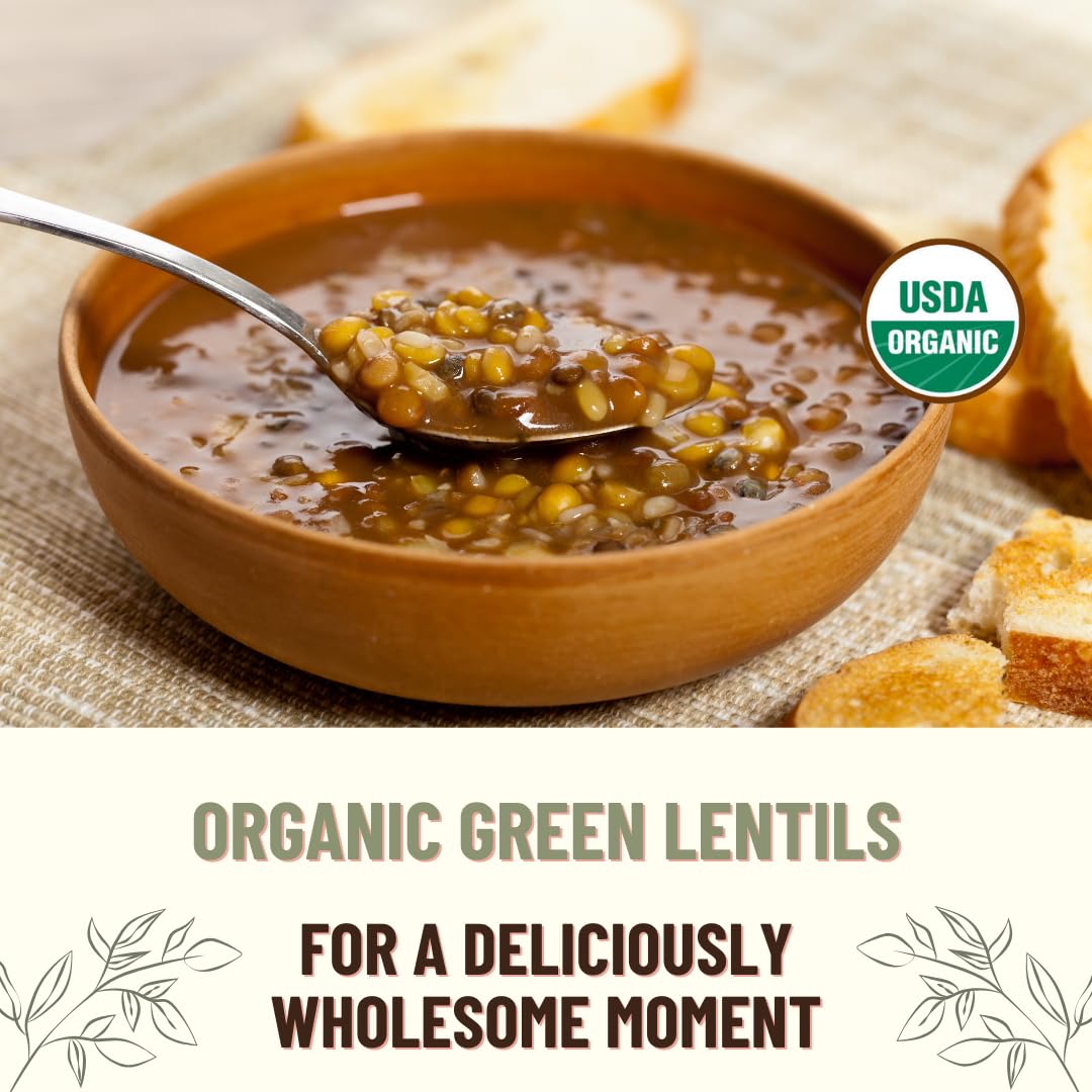 Mountain High Organics Certified Organic Green Lentils, 400 Ounce (Pack of 1) - Healthy, Nutritious Legume for Cooking and Baking