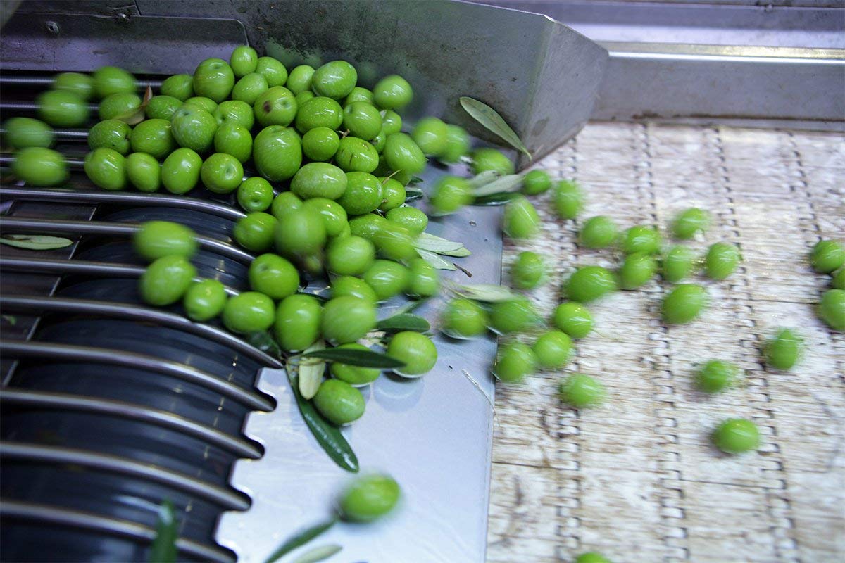 GAEA Snack Olive Grn Chli And Pepp, 2.3 OZ