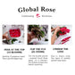 GlobalRose Real Fresh Cut Red Roses - 50 Fresh Flowers - Fresh Flowers Bouquet for Wedding