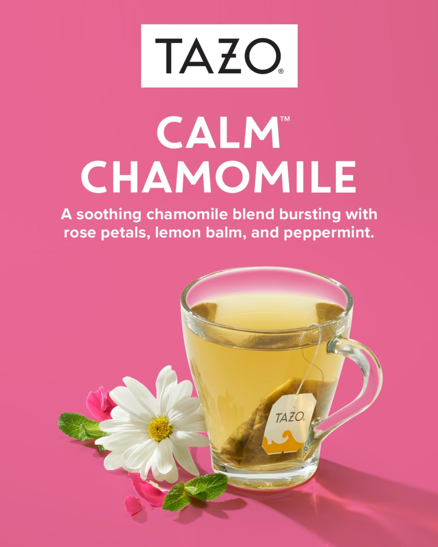 TAZO Tea Bags Sampler, 48 Count Gift Box, 6 Flavors, 8 Bags Each