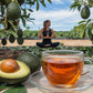 Avocado Leaf Tea Black Tea Blend, Lightly Caffeinated, 15 Tea Bags, Sugar-Free, Vegan, Gluten Free, Non-GMO, Model BLK-CAN
