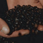 Extra Bar Mild,Italian Coffee Beans