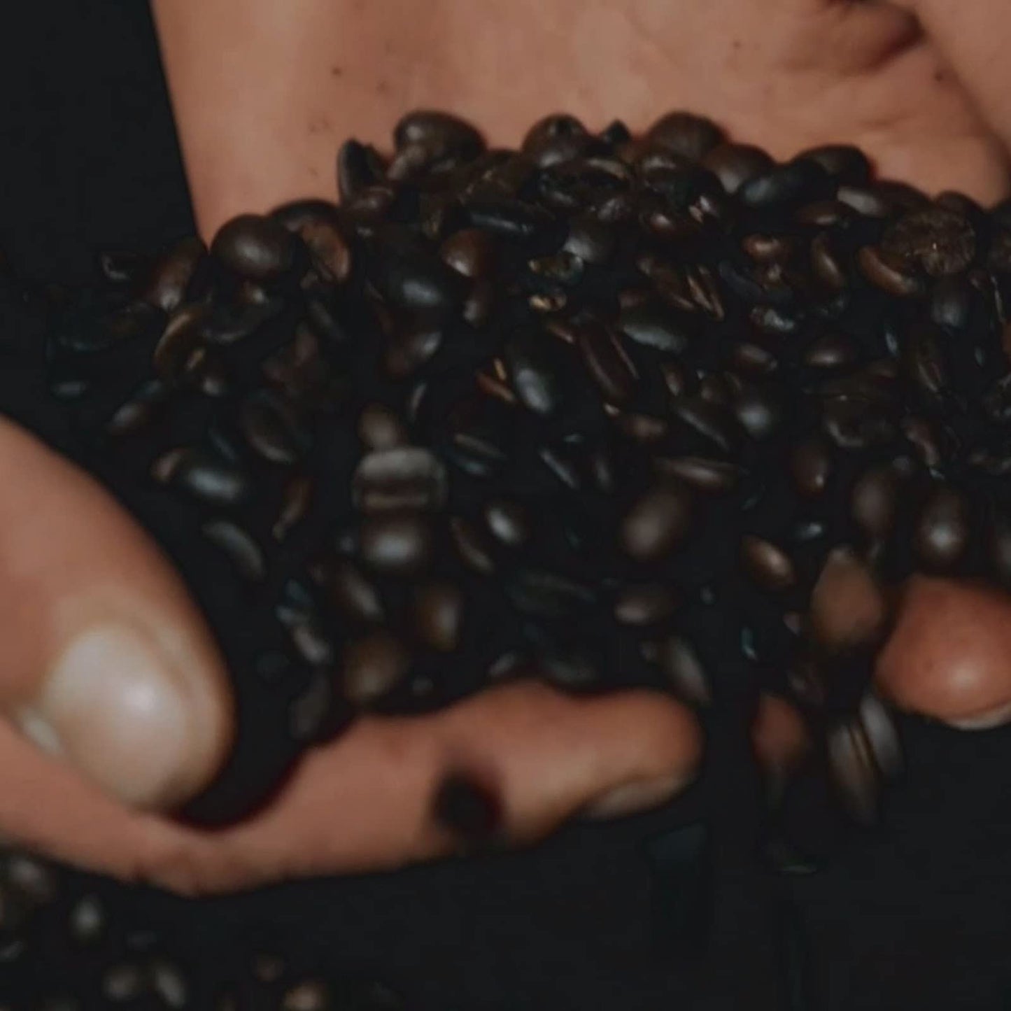 Extra Bar Mild,Italian Coffee Beans