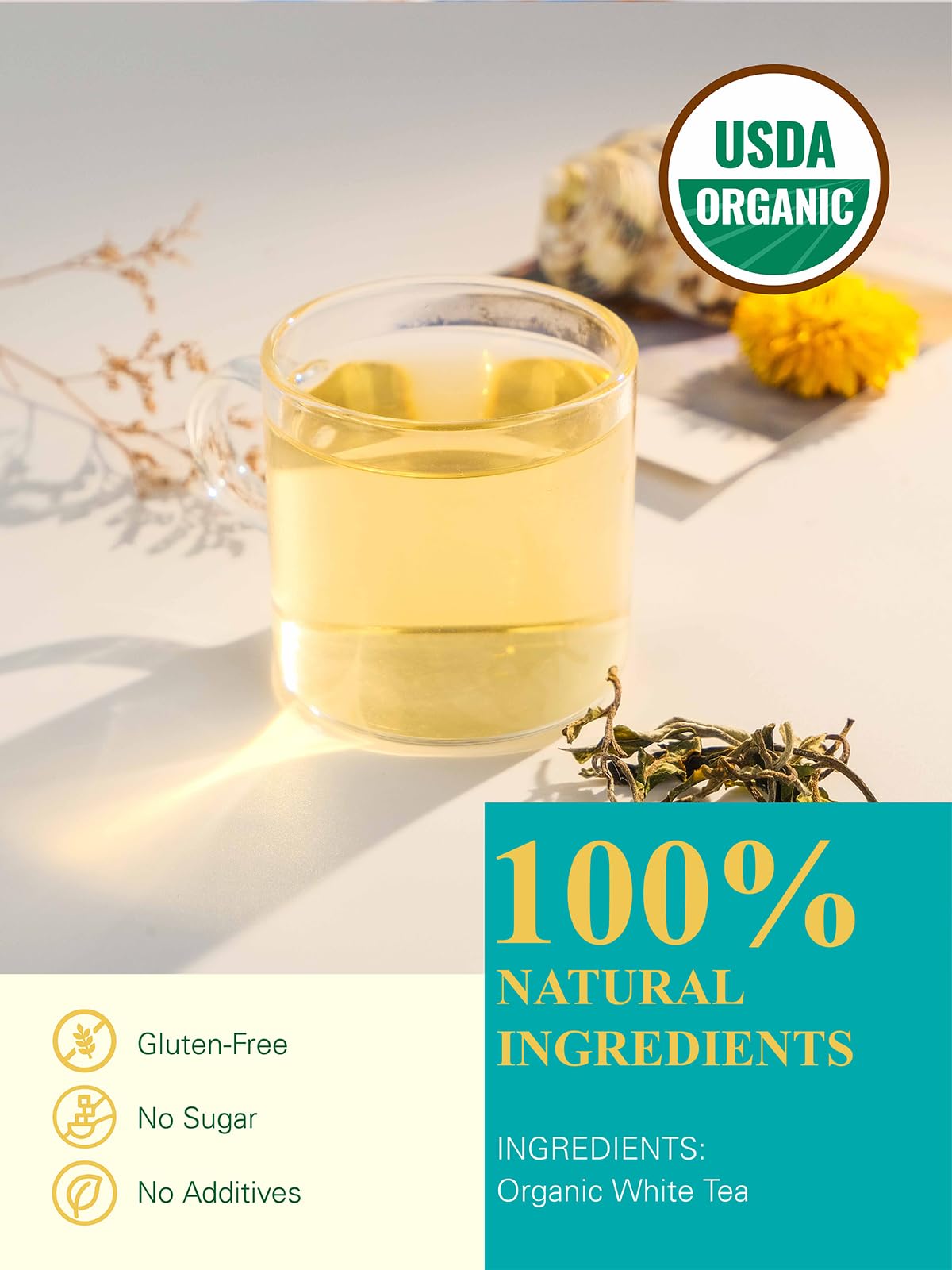 Gldnt Organic White Tea, Enhanced Organic White Tea Loose Leaf, Mild & Smooth Taste, Low Caffeine, 7 Ounce