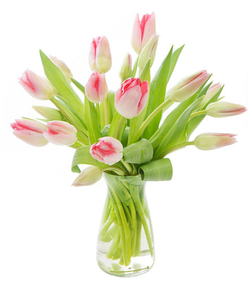 KaBloom Flowers -Valentine's Day Collection - 20 Pink Tulips with vase, Gift for Birthday, Sympathy, Anniversary, Get Well, Than