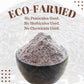 Organic Riceberry Flour - Superfine Gluten Free For Baking - 100% Whole Grain Thai Rice Flour - 2 Lb