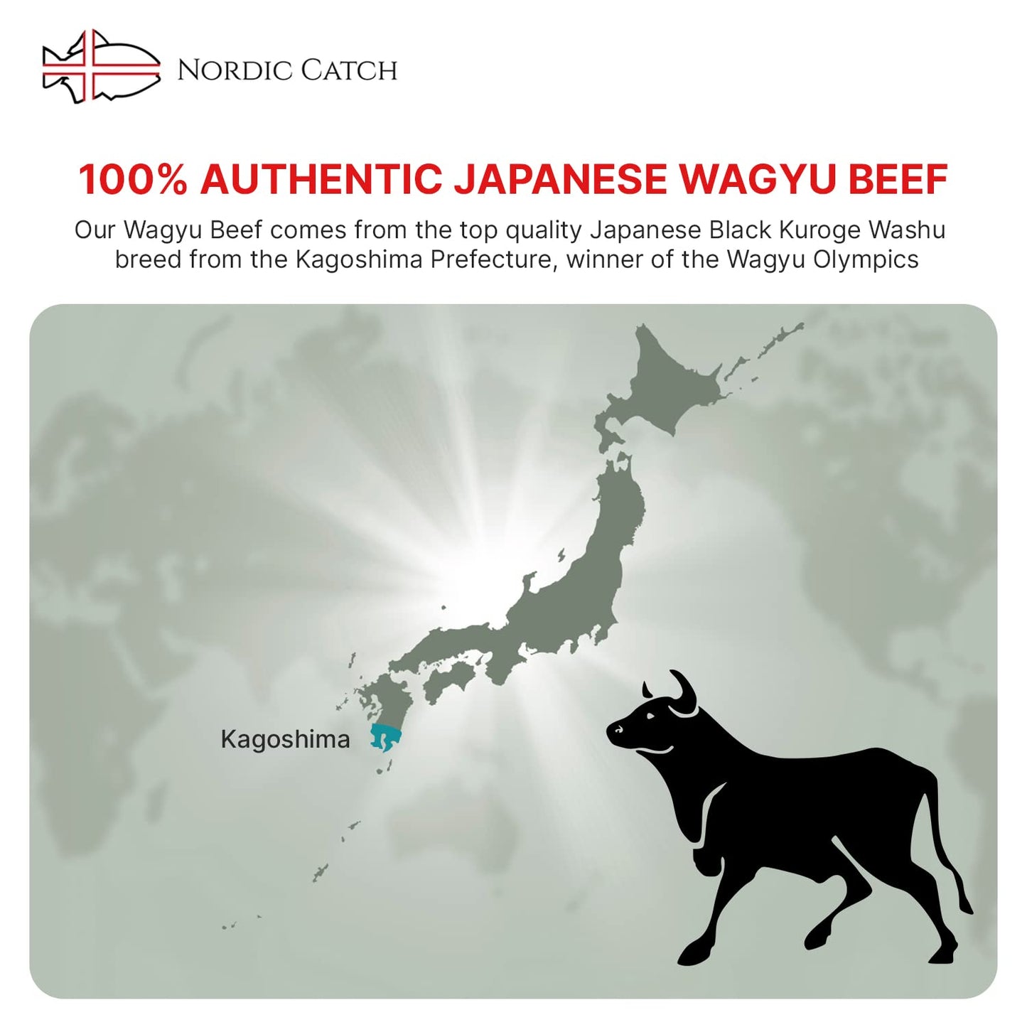 Nordic Catch - Grade A5 Japanese Wagyu Beef, Ribeye Steak Without Bone, Always Fresh Thick Cut, 1 Pound Skin-Packed 100% Authent