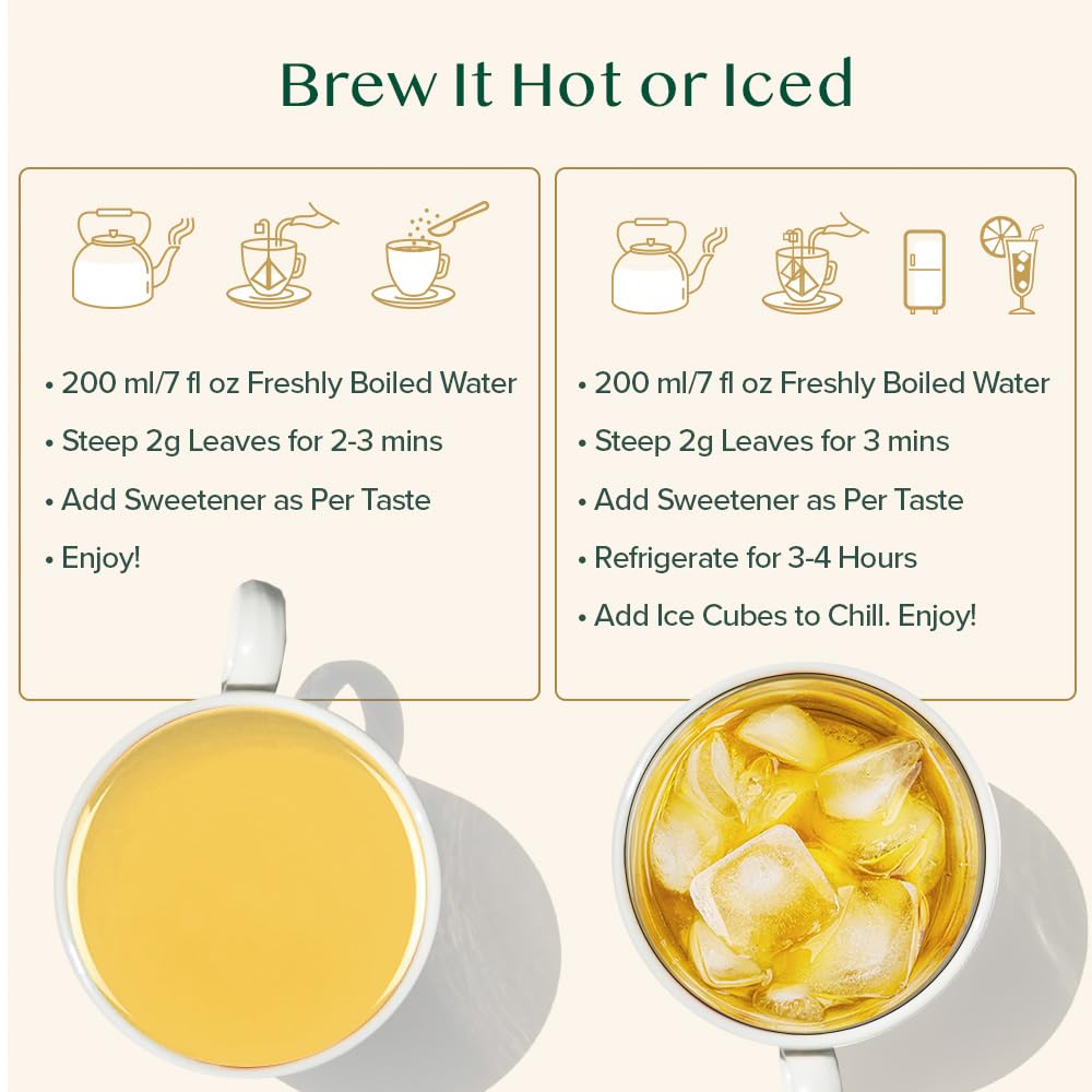 Vahdam, Ginger Mint Green Tea Bags (100 Count) High Grown Green Tea With Raw Ginger | Medium Caffeine | Non Gmo, Gluten Free | Mint Tea Bags | Resealable Ziplock Pouch