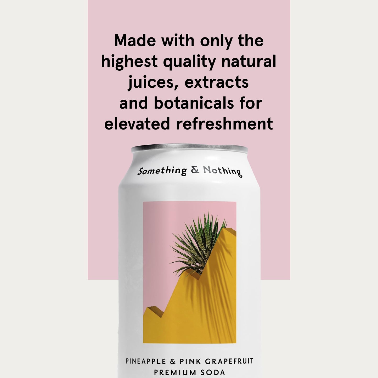 Something & Nothing Sparkling Water, Pineapple & Pink G fruit, Vegan, Low Calorie, 12 Fl Oz Cans (Pack of 12)
