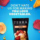 Terra Original Sea Salt Real Vegetable Chips, 5 Oz (Pack Of 6)