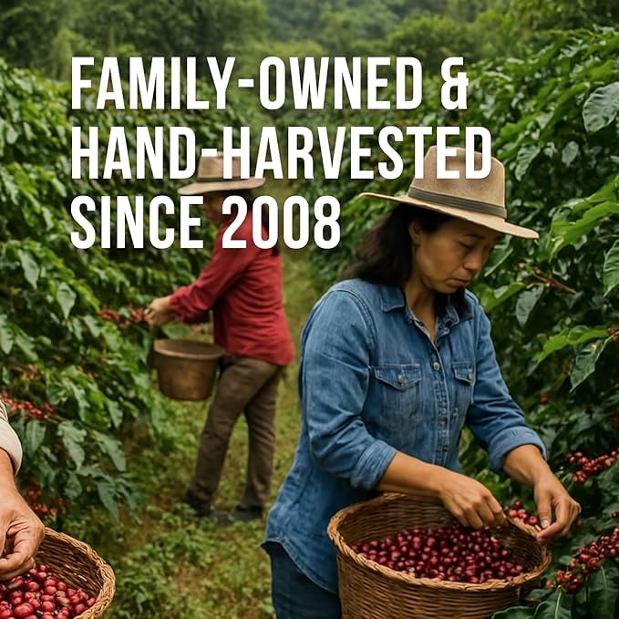 Don Memo Coffee Honduras Single-Origin Dark Roast Coffee Beans, Low Acid, Whole Bean, 12 oz