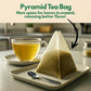 Tozzy Organic Ashwagandha Tea - 100 Count, Plant-Based Pyramid Tea Bags