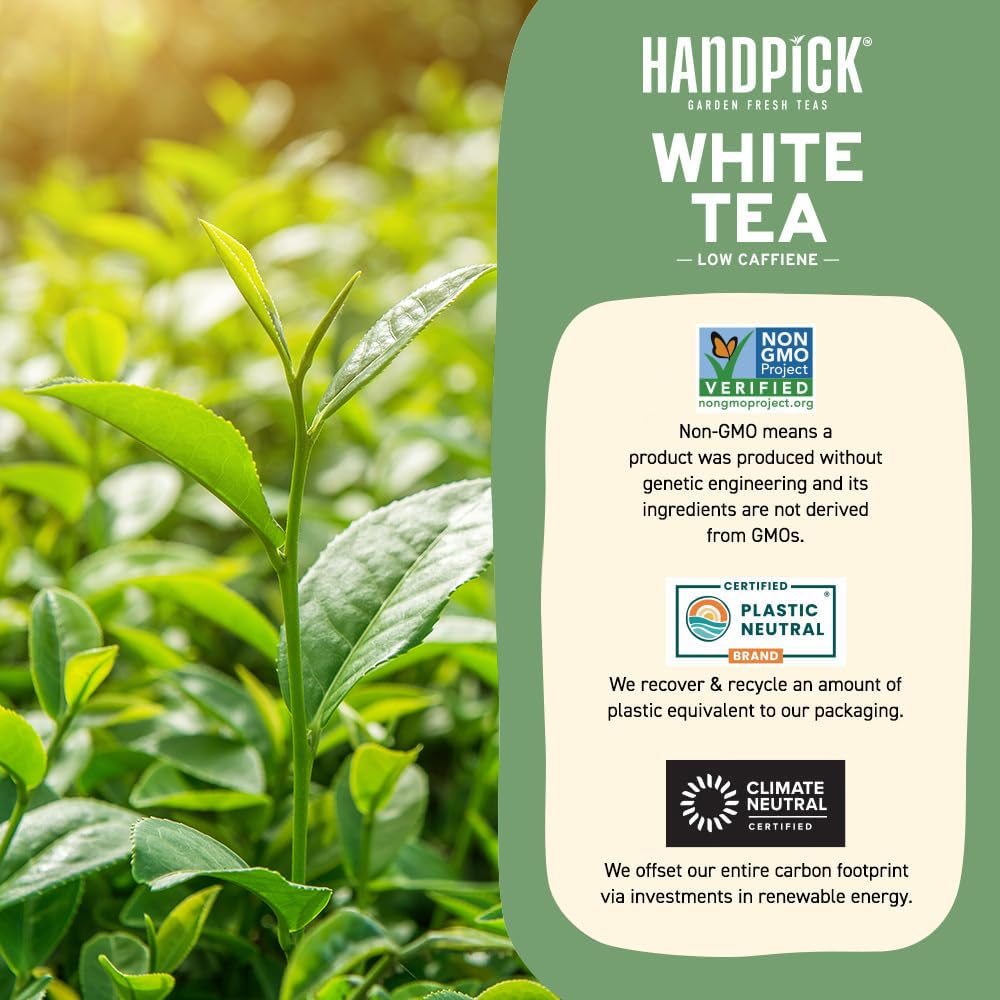 Handpick, Organic White Tea - 100 Tea Bags | Usda Organic, 100% Pure White Tea | Mild & Smooth | Packed In Eco-Friendly Tea Bags