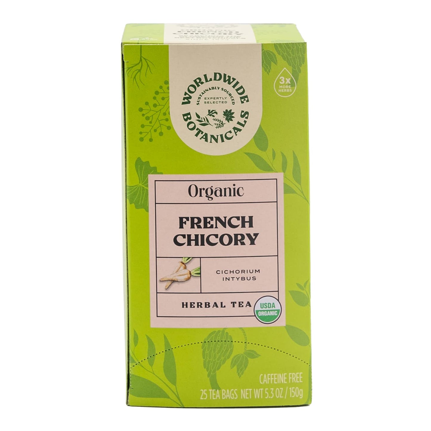 Worldwide Botanicals Organic French Chicory Root Tea - Prebiotic, Roasted, Caffeine Free - 25 Tea Bags