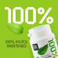 Dc24 Daily Care 100% Xylitol Gum, No Aspartame, Sugar Free Chewing Gum, Natural Spearmint Flavor, Gluten Free, Vegan, 60 Pieces,