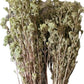 Generic Sicilian Oregano - Green Herbal Spice - 1 Count (Pack of 1)