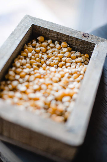 Amish Country Popcorn | 1 lb Bag | Extra Large Caramel Type Popcorn Kernels | Old Fashioned, Non-GMO and Gluten Free (Extra Larg
