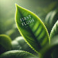Organic Green Tea Loose Leaf Sencha First Flush Superior Sencha Made In Japan (Organic Loose Leaves) One With Tea