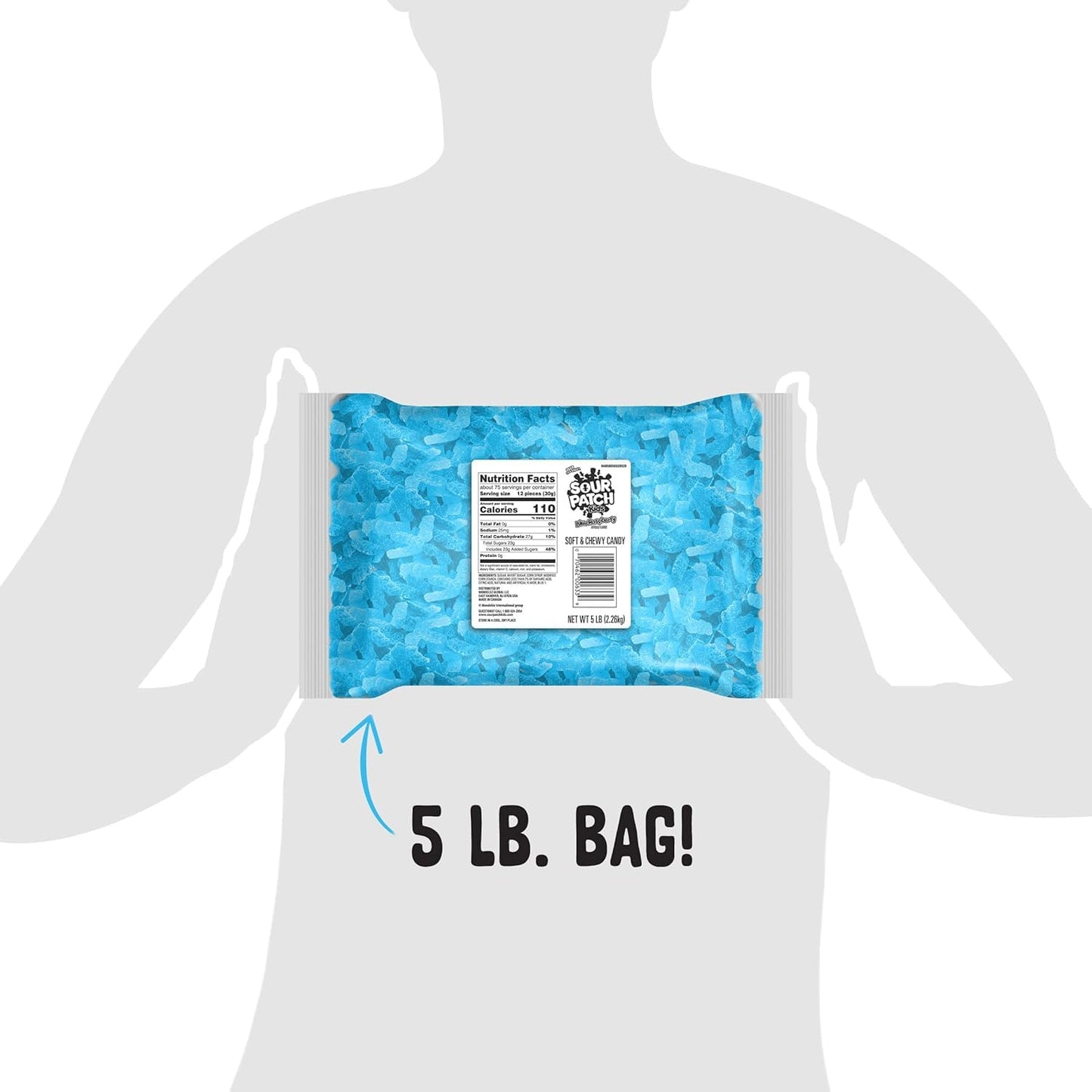 Blue Raspberry Sour Gummies - Bulk 5 LB Bag  Kid-Shaped Chewy Candy for Parties  Buffets  Halloween & Snacking