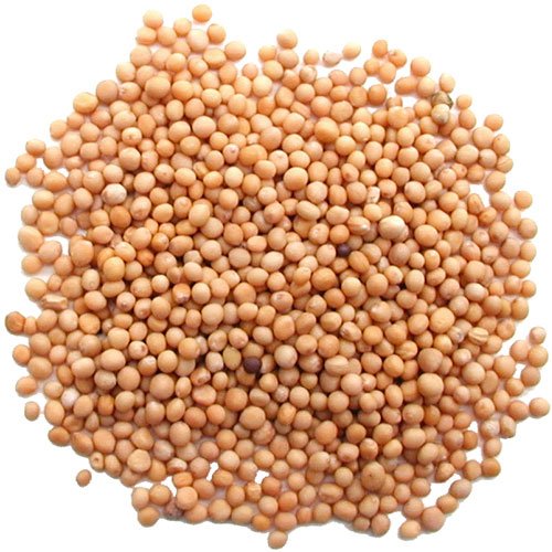 Pride Of India - Pack Of 6 - Yellow Mustard Seed Whole - Pungent & Aromatic - Gourmet Indian Spice - Add In Salads/Dressings/Chi
