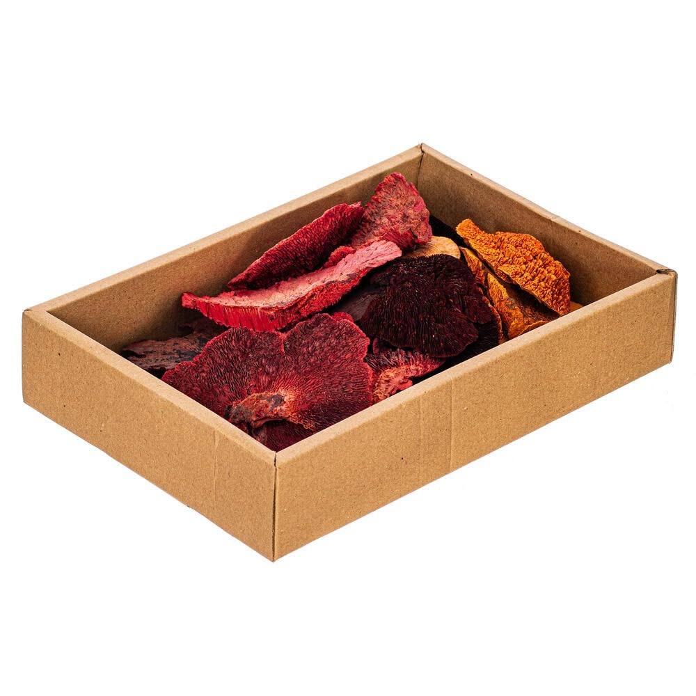 Vickerman Natural Botanicals Dried Assorted 4-6 inch Orange, Red, and Brown Sponge Mushrooms. 24 Assorted Mushrooms in a Wrapped
