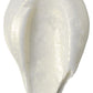 DecoPac Premium Airbrush Color, Edible Paint, 4oz, Pearlescent Gold Shimmer, Model 17941