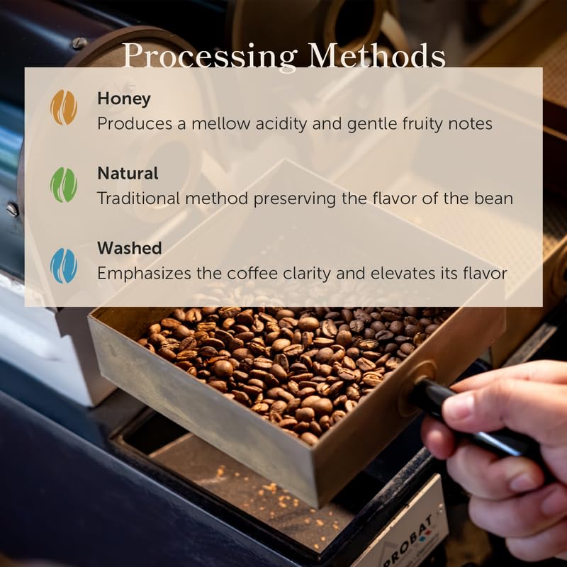 Bean of Fire Medium Roast Ground Coffee - El Salvador Red Bourbon Honey, Smooth & Fruity, 16 oz