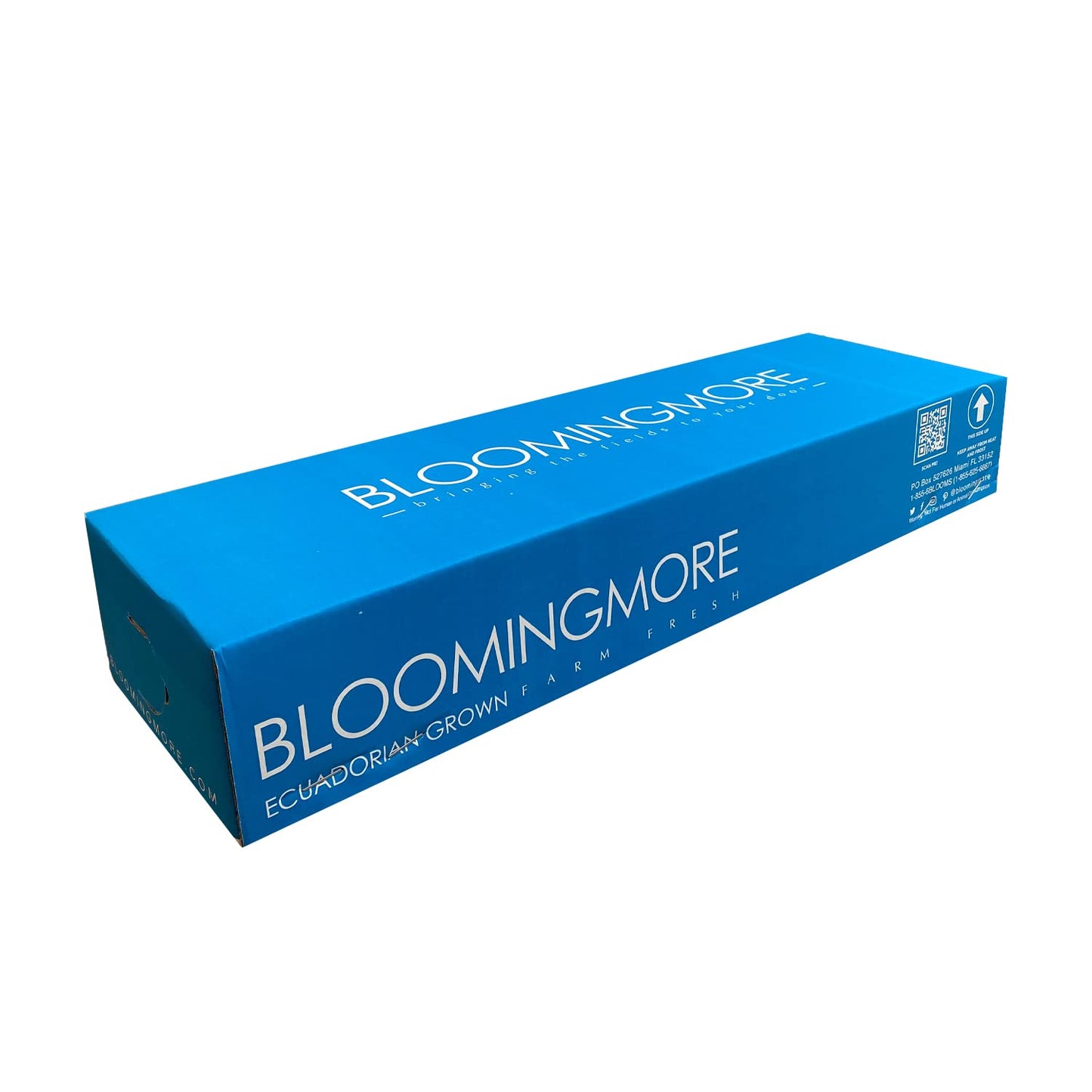 Bloomingmore | Fresh Cut Flowers | Black Roses | 50 Stems - 20 In | Home, Office, Wedding Decor, Diy, Party Event, Housewarming,