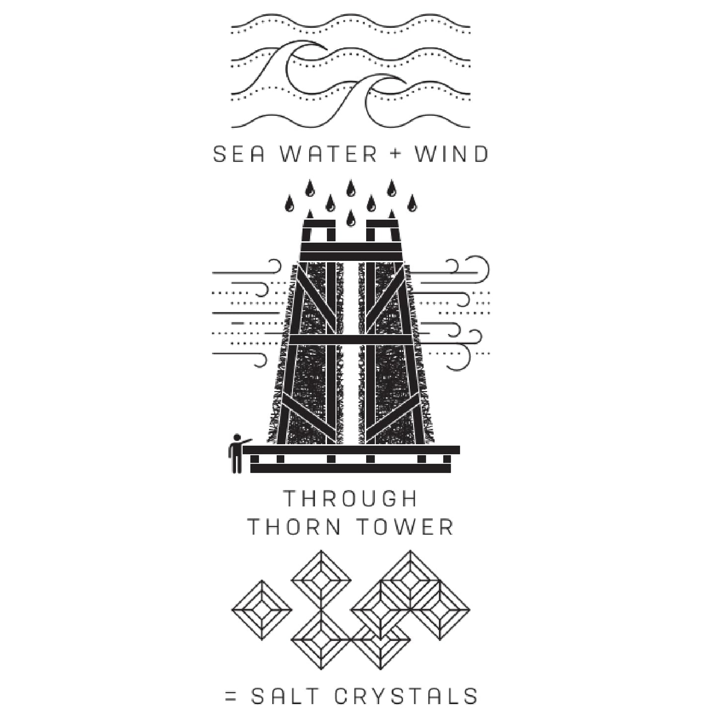 Blackthorn Scottish Gourmet Sea Salt Flakes - Natural And Unrefined - Sustainable Production - Mineral Rich Vegan - 8.5 Ounce (2