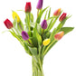KaBloom Flowers -Valentine's Day Collection - 10 Assorted Tulips without vase, Gift for Birthday, Sympathy, Anniversary, Get Wel