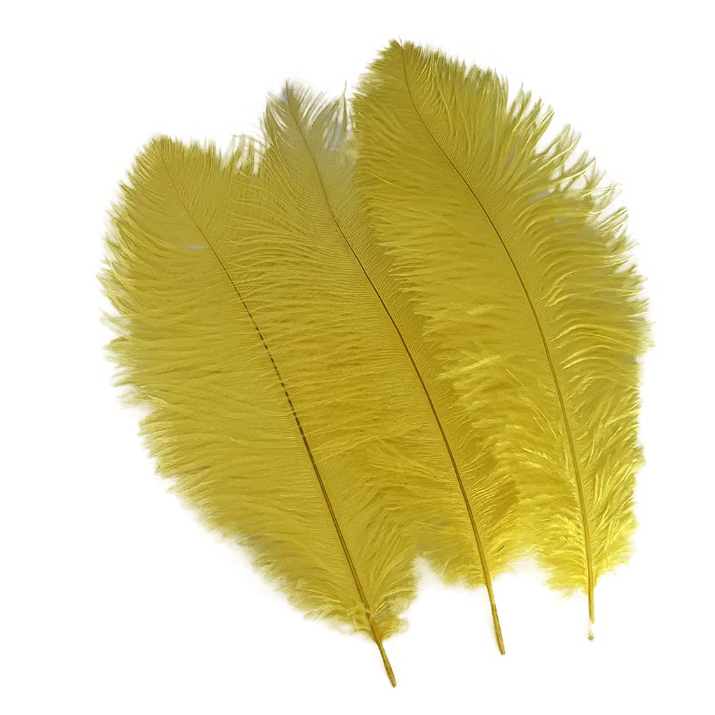Londgen 10Pcs Natural Ostrich Feathers Plumes 14-16Inch(35-40Cm) For Craft Flower Arrangement Wedding Decoration And Halloween P